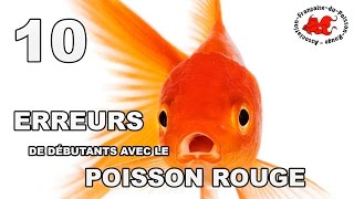 Poisson rouge  10 erreurs de débutant [upl. by Etteroma]