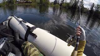 Elgin Fishing Gods Tooth spoons  Silver Lake WA 4242019 [upl. by Ailaro]