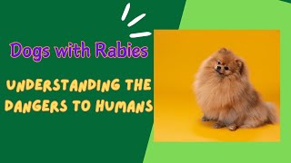 Dogs with Rabies  Understanding the Dangers to Humans [upl. by Welcher]