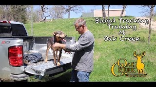 Blood Tracking Training at Oak Creek [upl. by Ignatia]