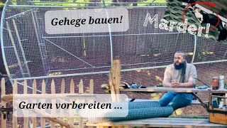 Gehege für Hühner bauen  Hühner im Garten halten 1 [upl. by Hurlbut]