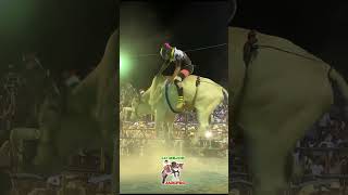 Tejo de Puente vs Gran Khali de Rancho Los Destructores jaripeo [upl. by Gaskill694]