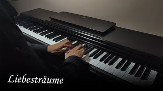 Liebestraum No 3  Franz Liszt [upl. by Oirromed928]