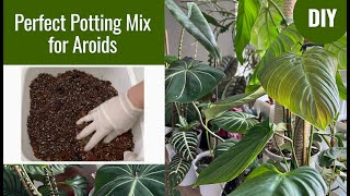 How To Make Perfect Aroid Potting Mix SOIL FREE for Healthy and Thriving Aroids [upl. by Gee]