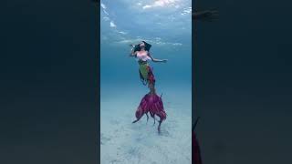 Real Jalpari  असली जलपरी🧜‍♀️  Jalpari video raigarh [upl. by Card204]