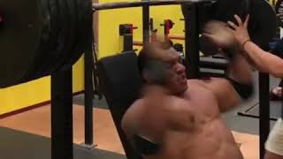 500lbs  250 kg  shoulder press  world record  Larry wheels  poweeeeeer [upl. by Peadar]