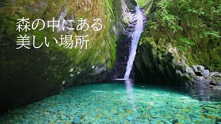 HD復刻版 自然環境音 溶岩台地も今は緑と水の美しい楽園 水音と鳥の声 [upl. by Hay]