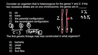 What is Cis and Trans genes configuration [upl. by Aoh]