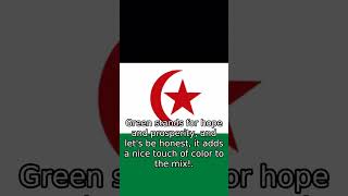 Western Sahara  Flag Explained [upl. by Cody]