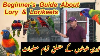 Complete Information About Lorikeet ParrotsLories And Lorikeets Parrots Breeding TipsHindi\Urdu [upl. by Vikki694]