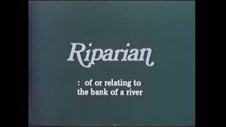 RIPARIAN [upl. by Anya]