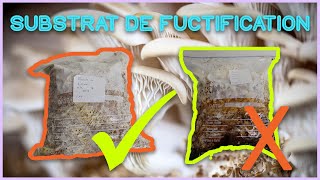 🍄 Réussir son SUBSTRAT de FRUCTIFICATION pour CHAMPIGNONS  3 bons conseils [upl. by Noevad]