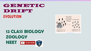 Genetic Drift I Evolution I Zoology  Class 12  TNSCERTCBSE  NEET [upl. by Nodyl]