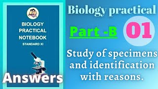 Study of specimens and identification with reason biology practical class 11 experiment 1 b answers [upl. by Rehpotsirhcnhoj]