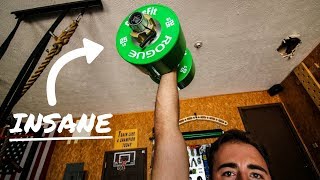 THESE ARE INSANE  Rogue Dumbbell Bumper Plates First Impression [upl. by Wadlinger]