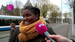 Negers over racismegehalte Nederland [upl. by Layne156]