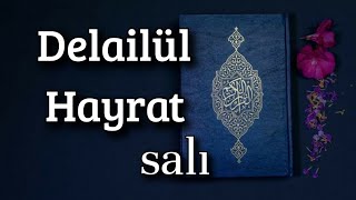 Delailul Hayrat  Salı [upl. by Oralie783]