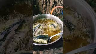 Cooking sardines in nature [upl. by Studley308]