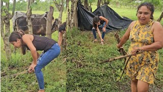 Maria se pone a chapear su terreno hoy solo las mujeres trabajan [upl. by Bazil]