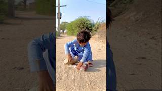 Bujbaan Kabootar ke sath asa na kiya karo 😭😘😍🕊️shorts youtubeshorts shortvideo birds [upl. by Connell]