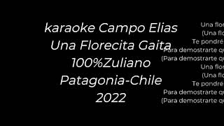 karaoke La Florecita Gaita [upl. by Kippy]