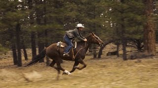 Horseback Riding near Bryce Canyon  Slow Motion [upl. by Fabe]