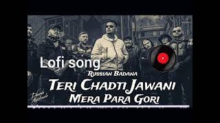 TeriChaddiJawaniMeraParaGori lofi song Song2024256kmp3 lofisong song [upl. by Hoon497]