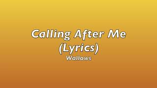 Calling After Me  Wallows Lyrics [upl. by Nnaael361]