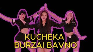 NOVO KUCHEK 2024 KUCHEKA BURZAI BAVNO HIT [upl. by Aivat72]