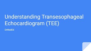 Understanding Transesophageal Echocardiogram TEE [upl. by Allemac]