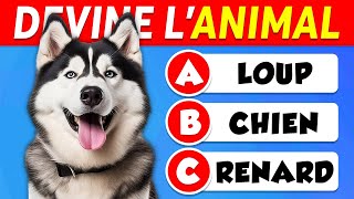 Devine les 60 ANIMAUX 🐶🐱 FACILE à IMPOSSIBLE 🧠🤯 [upl. by Mahoney]