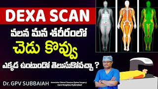 Can a DEXA scan show body fat  Dexa scan for body fat percentage  Body fat  BMI Dr GPV Subbaiah [upl. by Lakin874]