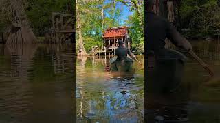 Changing of the seasons at the Pollywog Cabin pollywogcabin louisiana [upl. by Elimaj920]