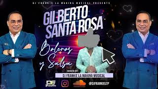 Gilberto Santa Rosa Boleros amp Salsa Mix Dj Frankie La Makina Musical 2024 [upl. by Atteynod]