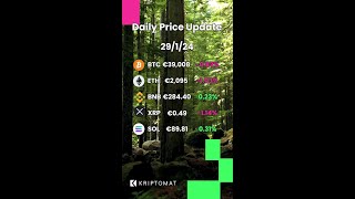 Crypto Horizon January 29th Market Overview [upl. by Beuthel]