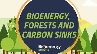 Bioenergy forests and carbon sinks  Bioenergy explained [upl. by Kariv46]