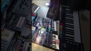 Behringer Grind  Solina  JD800  SH101  Roland P6 Sampler synthwave synthpop music [upl. by Jacquelin]