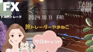 20241011金曜【今日のドル円トレード戦略】🐈fxfxスキャルピング fxテクニカル fx初心者 デイトレ水島翔fxマシーンくにお 山猫トレード研究所 [upl. by Allecsirp]