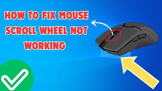 How To Fix Mouse Scroll Wheel Not Working  Mouse Wheel Not Working [upl. by Yhtrod695]