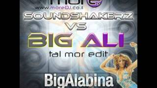 Soundshakerz vs Big Ali  Big Alabina 2011 Tal Mor Edit [upl. by Dylane284]