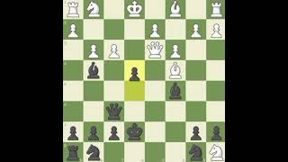 BRILLIANT CHECKMATEScandinavian defence openingqueenkingbishopknightrookpawn [upl. by Beane]