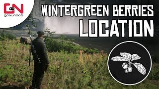 Red Dead Online  Wintergreen Berries Location  5 Wintergreen Berries Picked  Daily Challenge [upl. by Etteyniv]