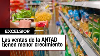 Ventas de la ANTAD crecen 17 pero con desaceleración en los últimos dos meses [upl. by Neerihs]