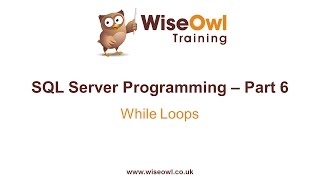 SQL Server Programming Part 6  WHILE Loops [upl. by Azilem]