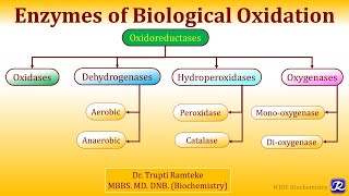 1 Enzymes of Biological Oxidation  Biological oxidation  Biochemistry  NJOY Biochemistry [upl. by Cly]