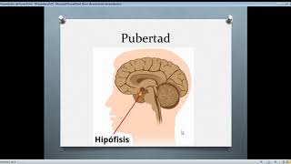 Caracteres primarios y secundarios Pubertad [upl. by Parris]