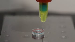 3Dprinted scaffold enables controlled release of biomolecules into body [upl. by Llewop817]