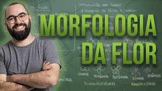 Organologia da Flor Morfologia  Aula 18 Botânica Prof Guilherme [upl. by Sauls]