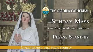 Sunday Mass at the Manila Cathedral  February 11 2024 600pm [upl. by Aynor]