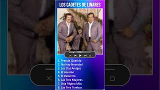 Los Cadetes De Linares MIX Grandes Exitos  Prenda Querida shorts [upl. by Krongold]